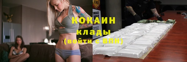 дмт Абаза