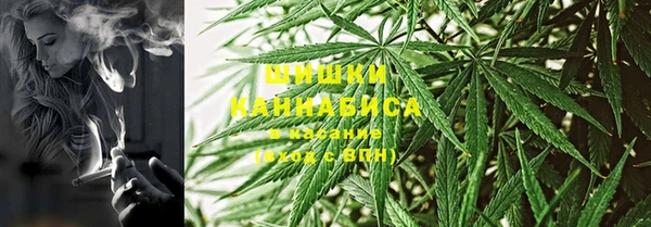 дмт Абаза