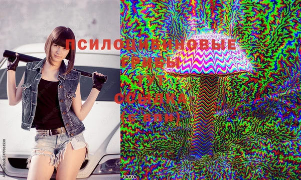 дмт Абаза