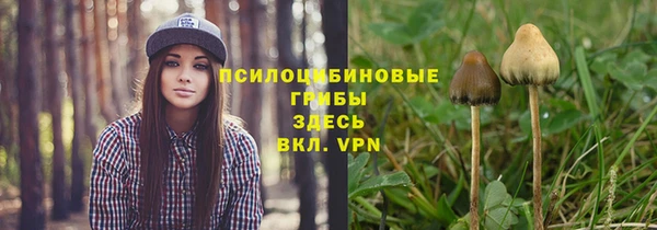 дмт Абаза