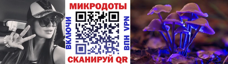 kraken   Советск  Псилоцибиновые грибы Psilocybe  где можно купить наркотик 